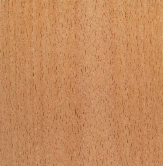 Custom Furniture Veneer Sample 04 - Steamed European Beech