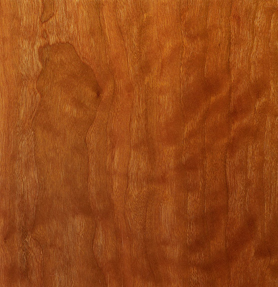 Custom Furniture Veneer Sample 05 - Mottled Cherry